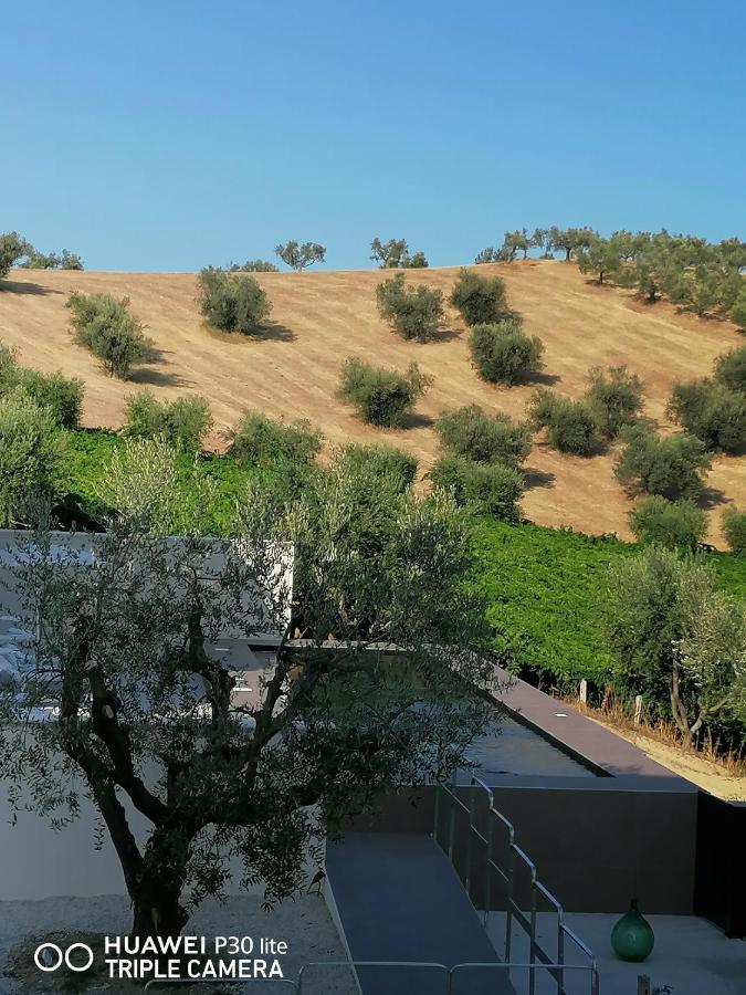 Cantina Loft Chieti Exterior photo